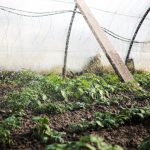 photo 1523285139281 53f6bbd75a30cropentropycstinysrgbfitmaxfmjpgixidM3wxNDA1NTd8MHwxfHNlYXJjaHwxNDh8fHBsYXN0aWMlMjBjb3ZlcnN8ZW58MXwwfHx8MTcwOTIzNTE1M3wwixlibrb 4.0.3q80w1080