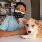 photo 1644675272883 0c4d582528d8cropentropycstinysrgbfitmaxfmjpgixidM3wxNDA1NTd8MHwxfHNlYXJjaHwxMnx8dmV0fGVufDF8MHx8fDE3NDY3ODEyNzR8MAixlibrb 4.1.0q80w1080